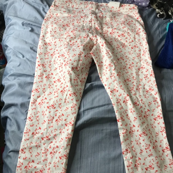 pants - Picture 2 of 6